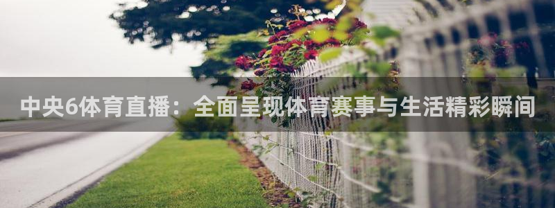 3833tv直播：中央6体育直播：全面呈现体育赛事与生活精彩瞬间