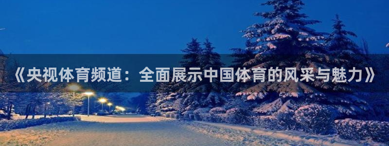 833足球免费直播