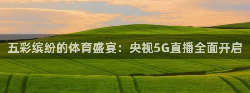 833篮球直播在线直播：五彩缤纷的体育盛宴：央视5G直播全面开启