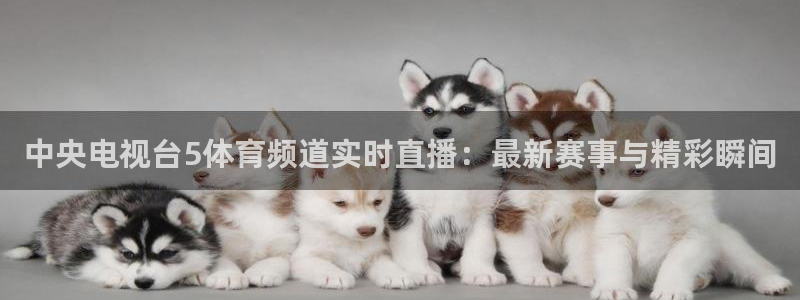 833直播体育免费入口：中央电视台5体育频道实时直播：最新赛事与精彩瞬间