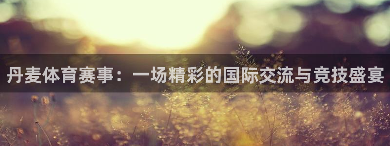 球帝833直播：丹麦体育赛事：一场精彩的国际交流与竞技盛宴