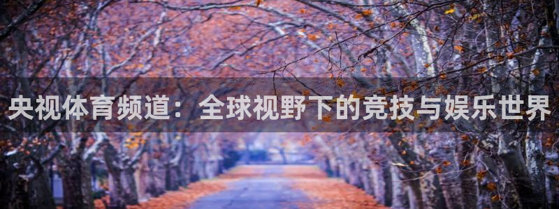 833直播体育免费入口：央视体育频道：全球视野下的竞技与娱乐世界