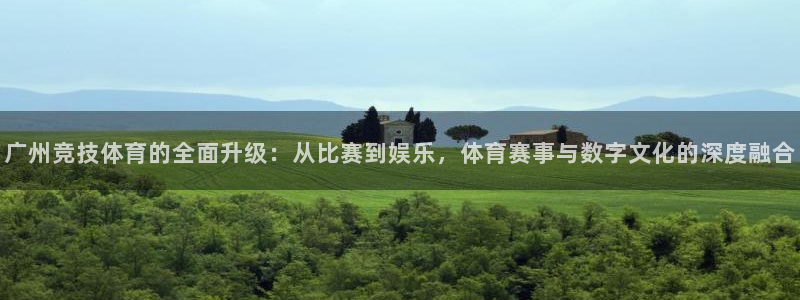 833足球直播网