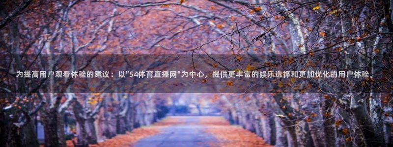833篮球直播免费高清直播：为提高用户观看体验的建议：以\