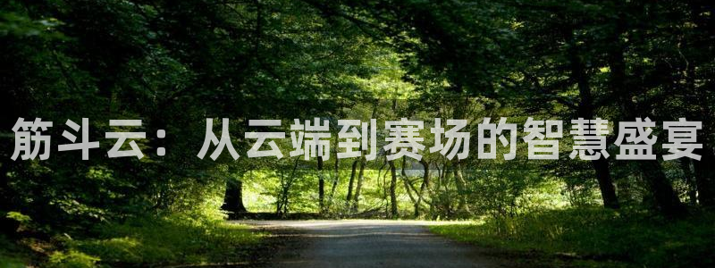 833直播比赛免费观看：筋斗云：从云端到赛场的智慧盛宴