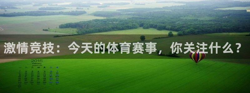 833足球比赛直播免费观看