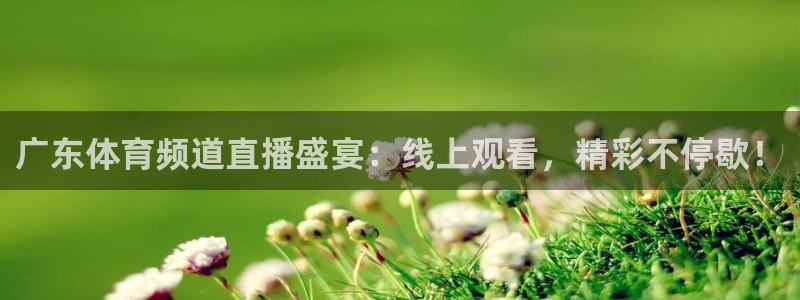 833体育直播：广东体育频道直播盛宴：线上观看，精彩不停歇！
