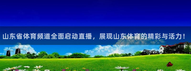 833足球直播网：山东省体育频道全面启动直播，展现山东体育的精彩与活力！