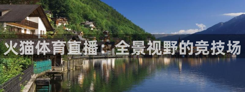833体育：火猫体育直播：全景视野的竞技场